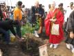 The Bo Tree Planting Ceremony